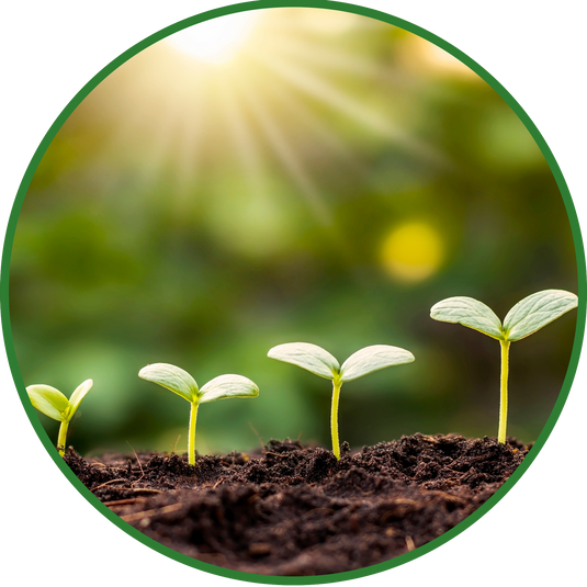 Clean By Nature | Sustainable & natural products without plastic